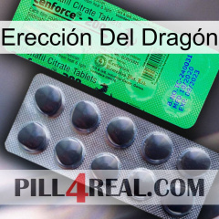 Erección Del Dragón new04